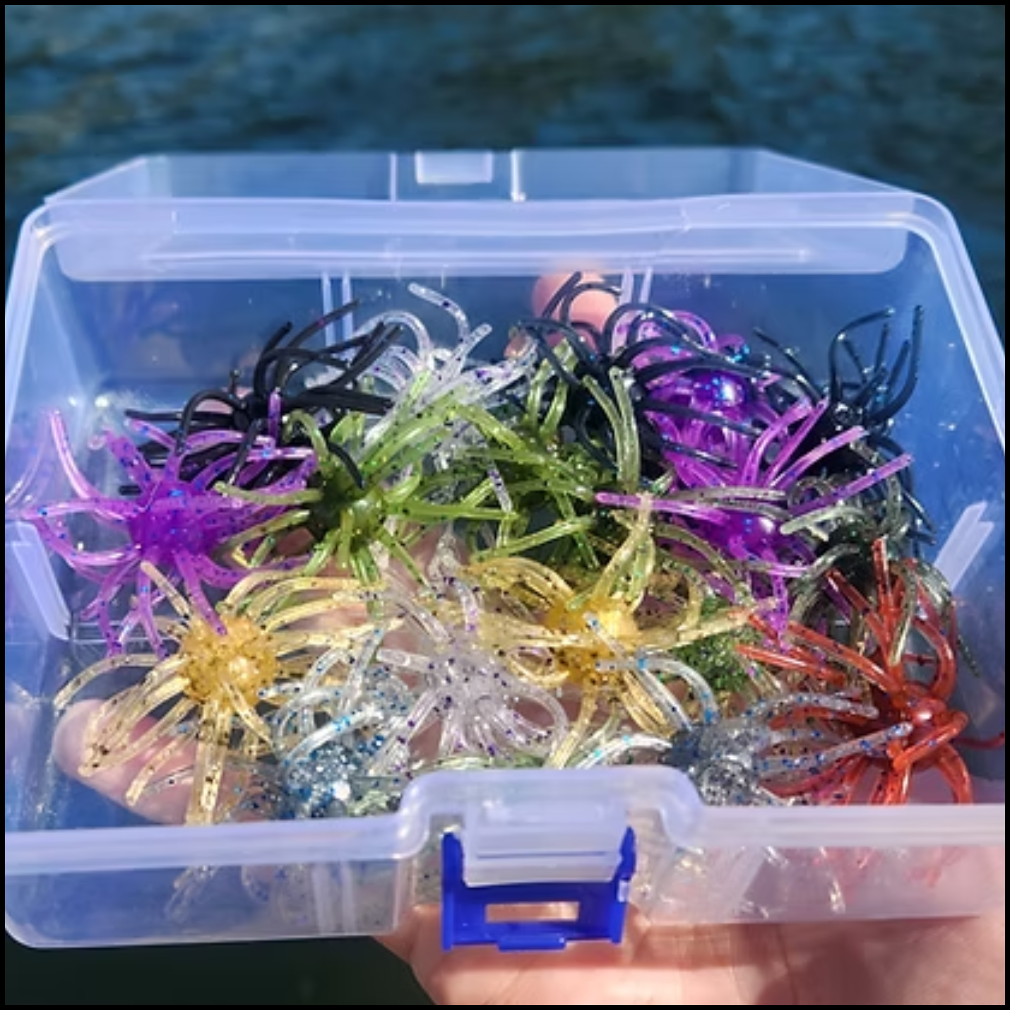 BIGG Mouth Fishing 2.5" Lil urchin