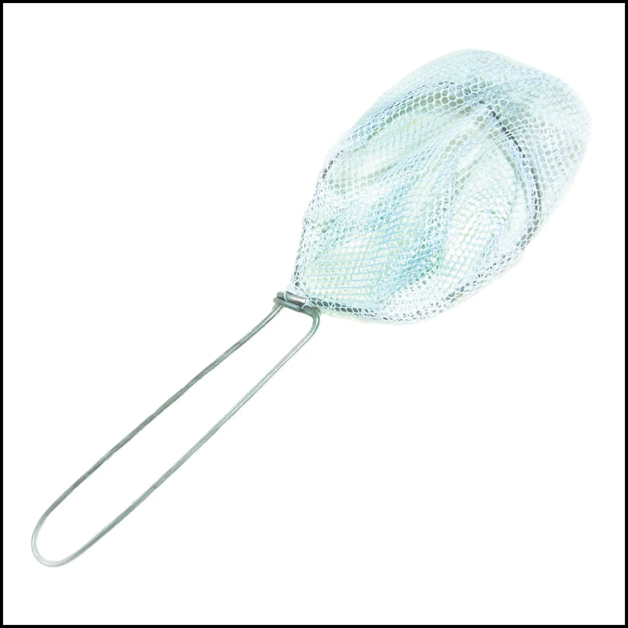 Eagle Claw Minnow Dip Net