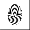 Fingerprint Card