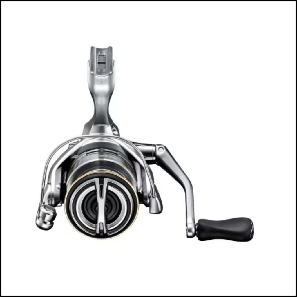 Shimano Sedona Reel