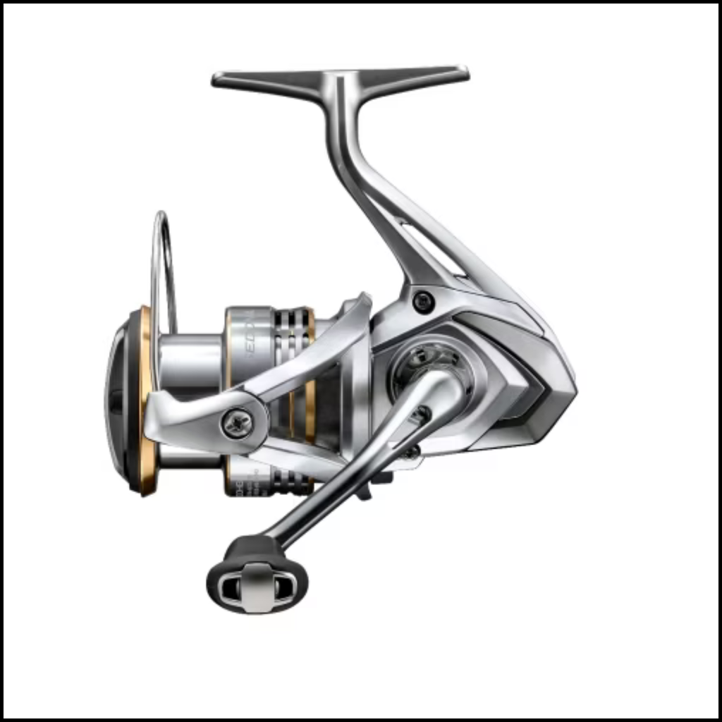 Shimano Sedona Reel