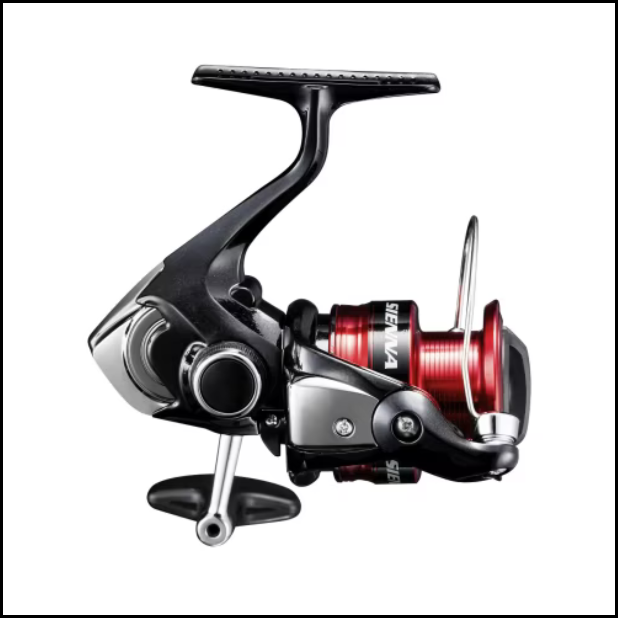 Shimano Sienna Reel