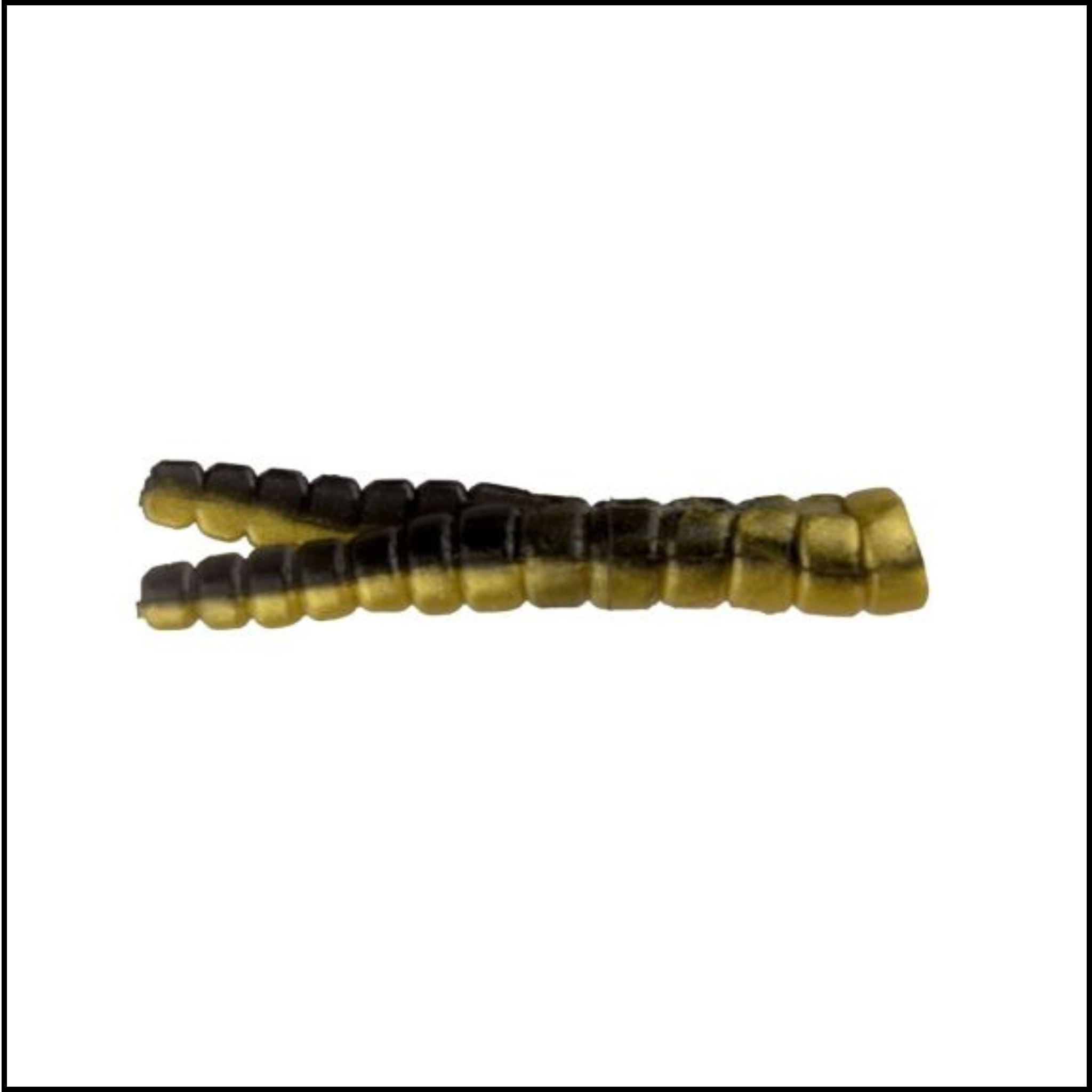 Trout Magnet 50pc Pack