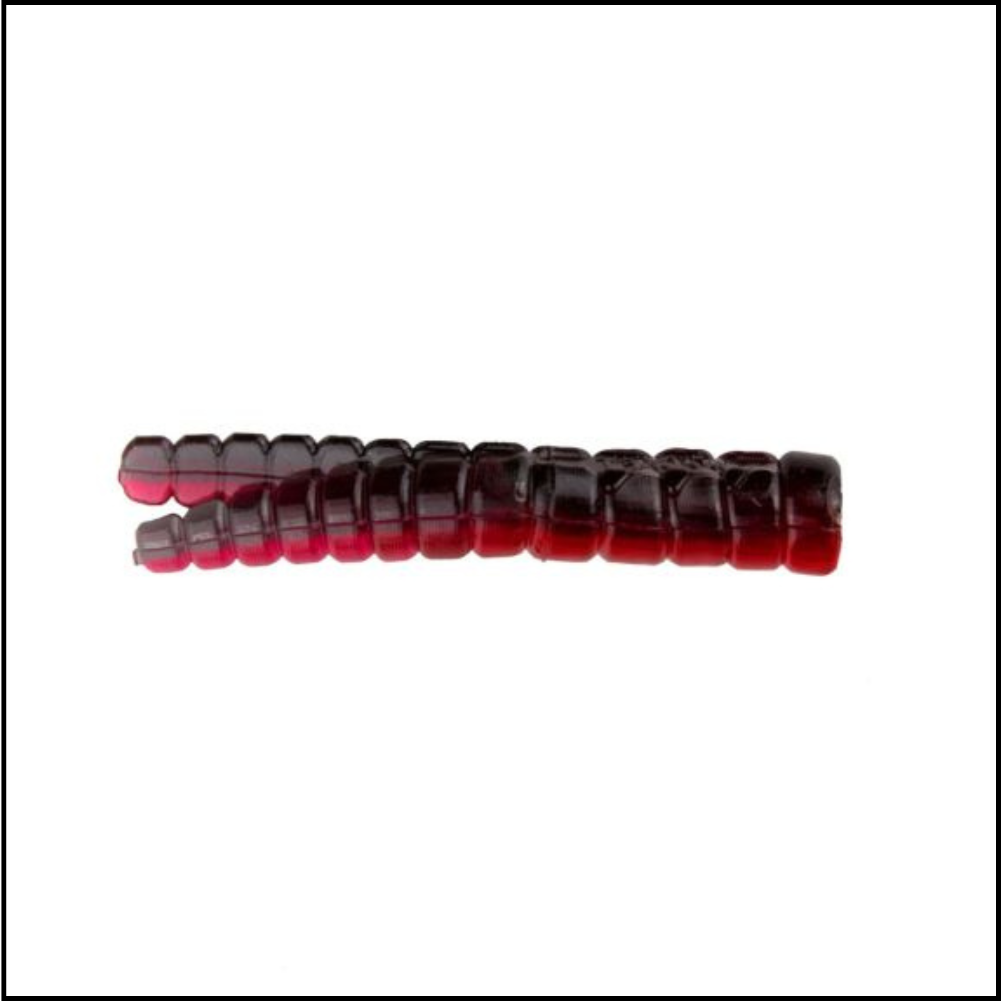 Trout Magnet 50pc Pack