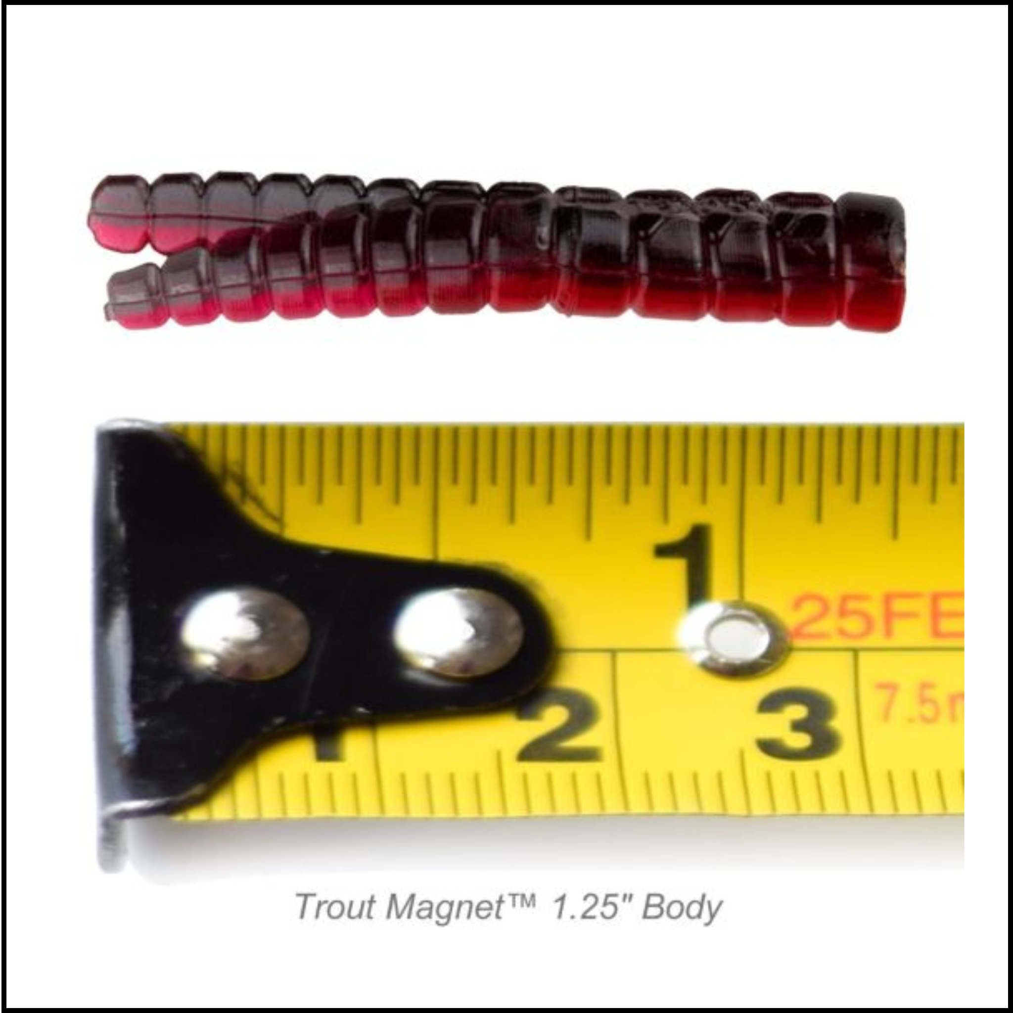 Trout Magnet 50pc Pack