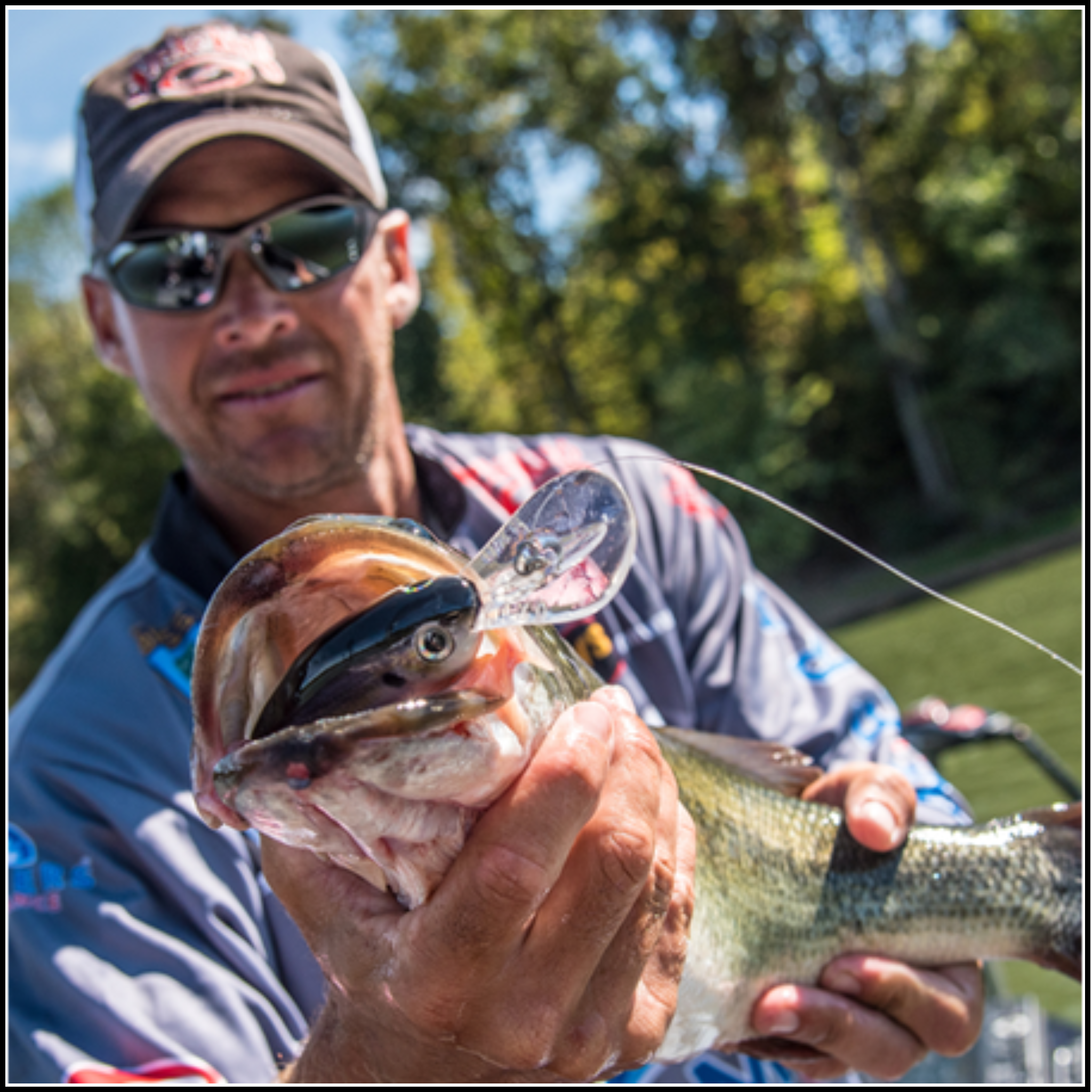 Strike King 6XD Crankbait