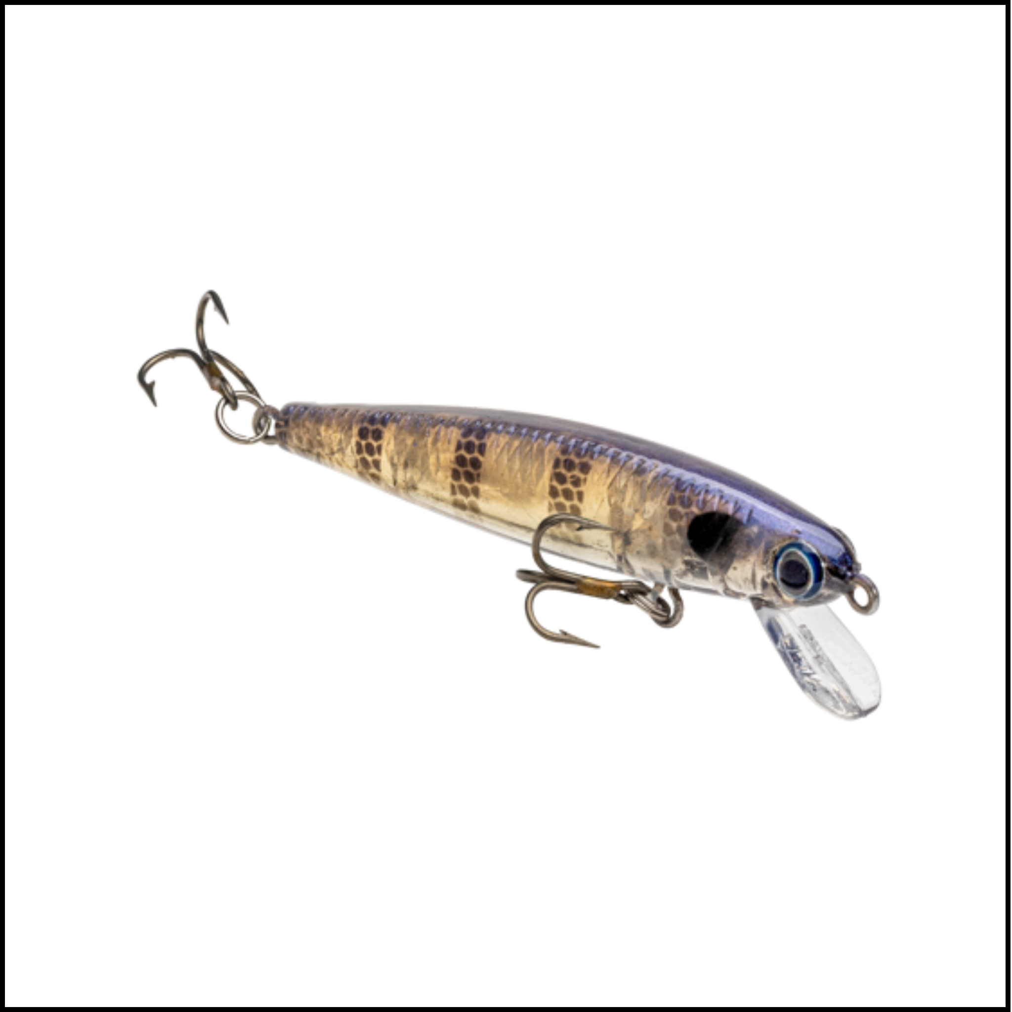 Bitsy Jerkbait
