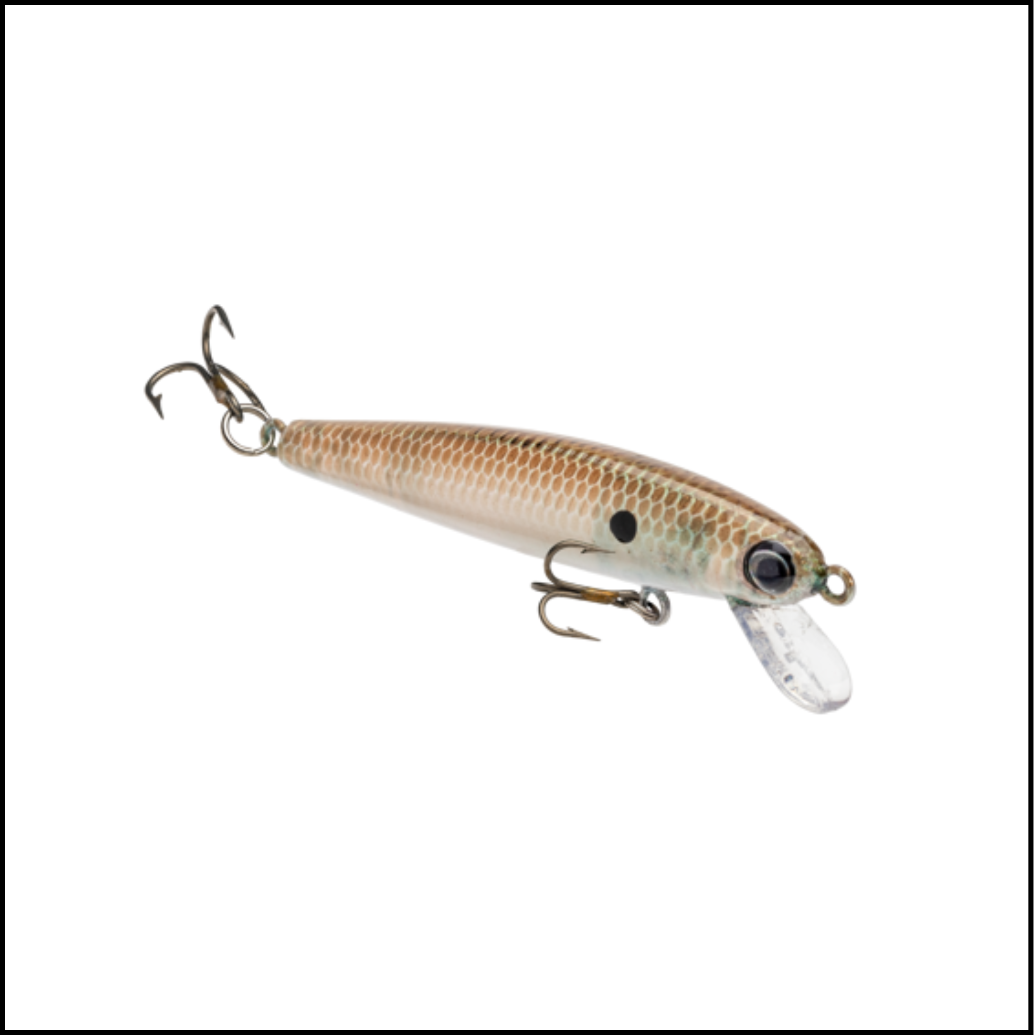 Bitsy Jerkbait