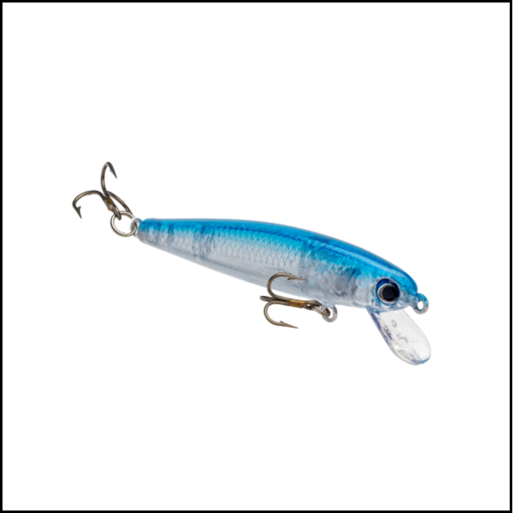 Bitsy Jerkbait