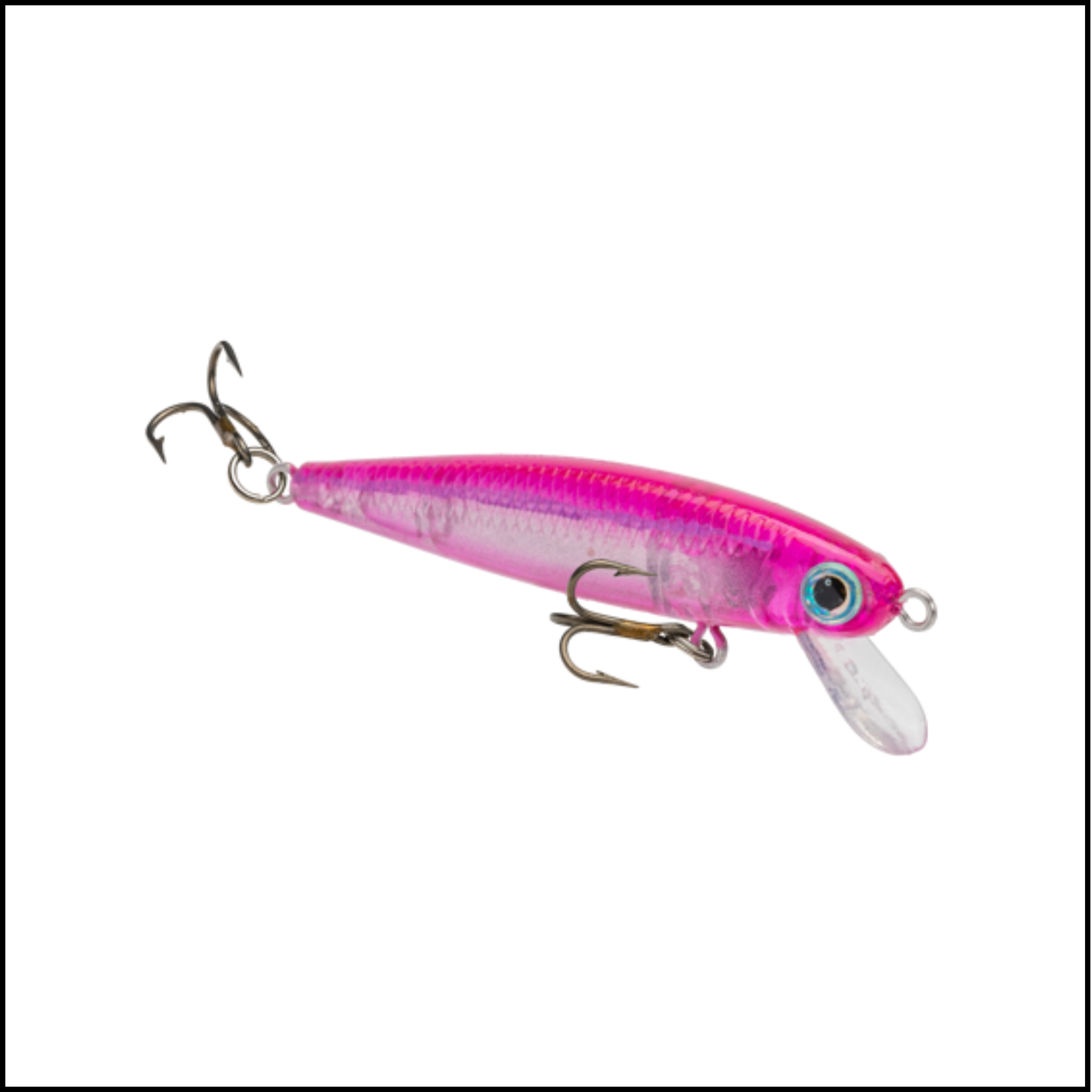 Bitsy Jerkbait