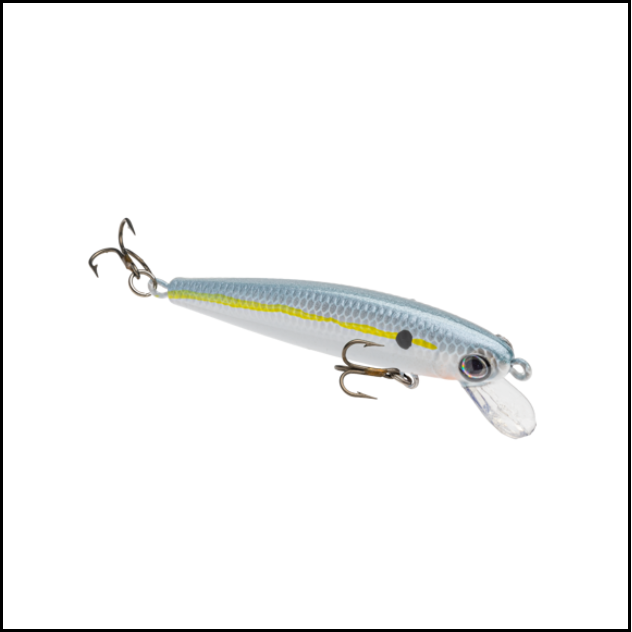 Bitsy Jerkbait