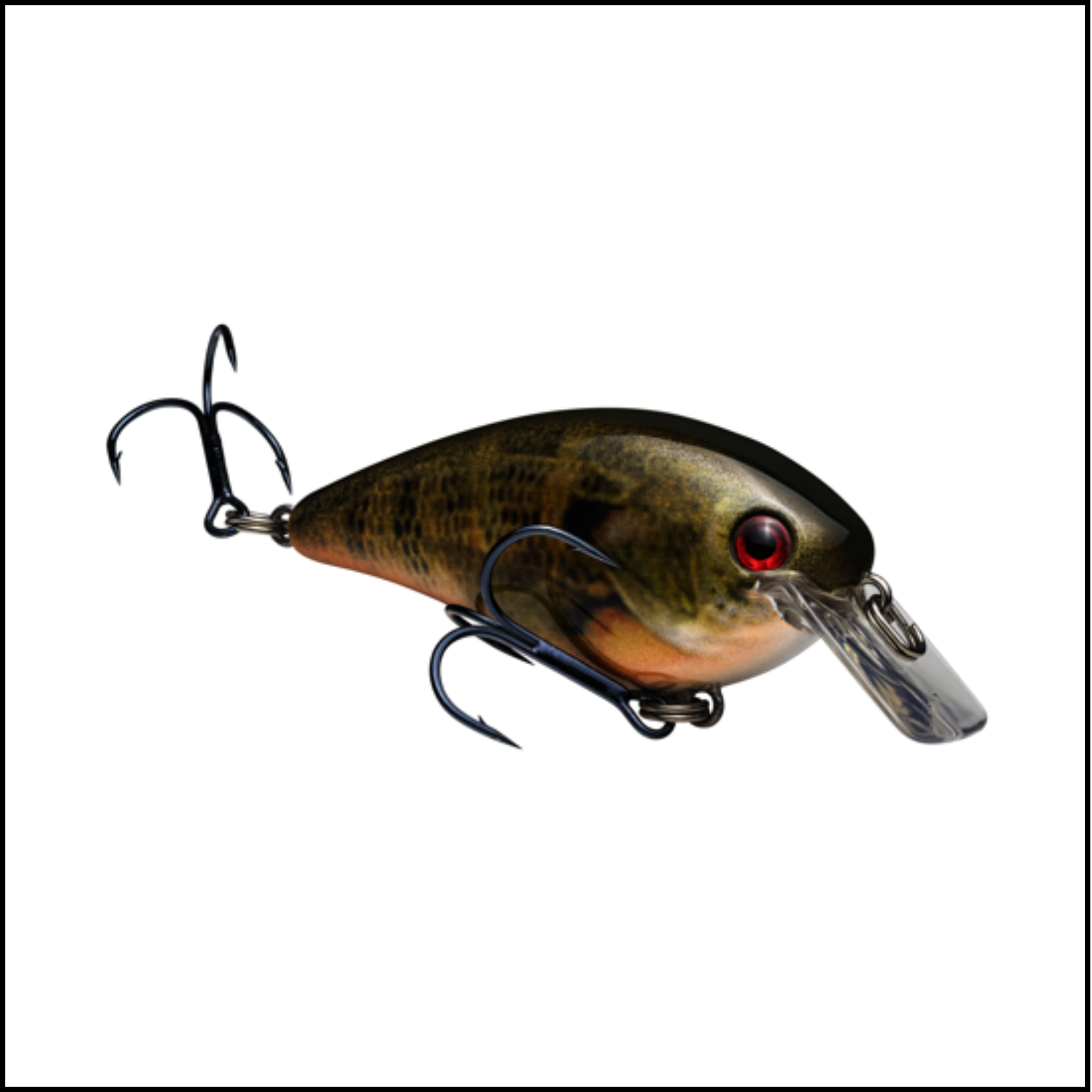 KVD Square Bill 1.5 Crankbait