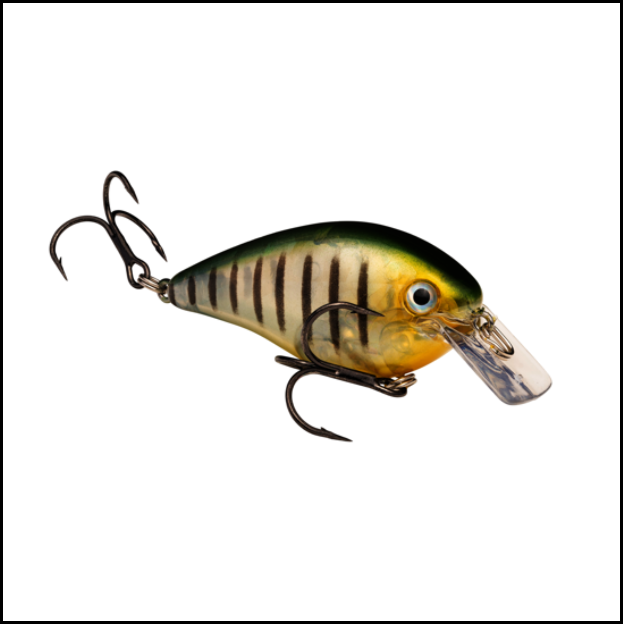 KVD Square Bill 1.5 Crankbait
