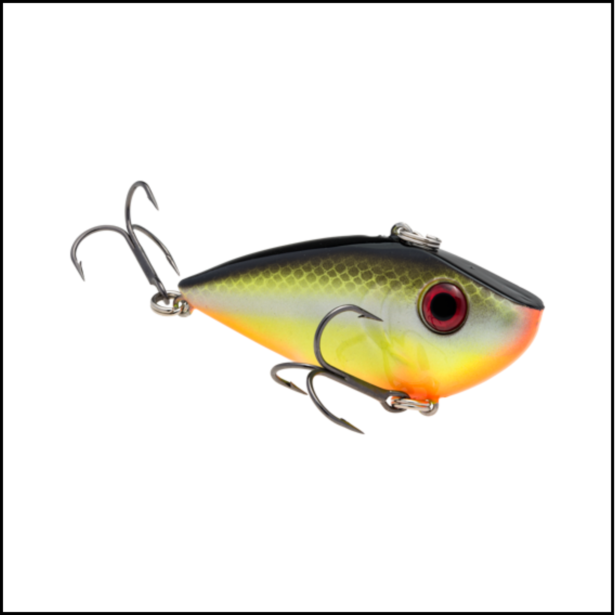 Red Eyed Shad Crankbait